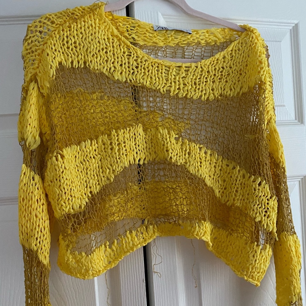 Zara sheer top - Picture 4 of 4